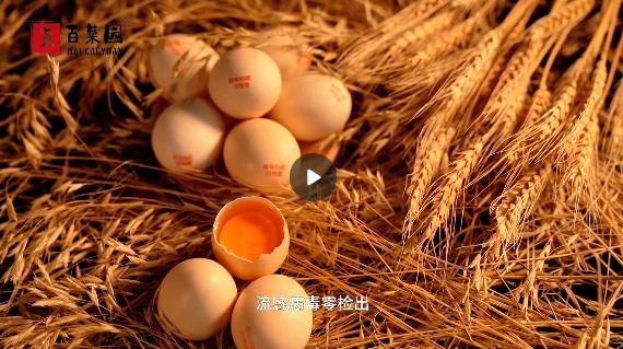 &#21315;&#20159;&#23448;&#32593;&#45;&#21315;&#20159;&#65288;&#20013;&#22269;&#65289;&#19968;&#31449;&#24335;&#26381;&#21153;&#23448;&#32593;